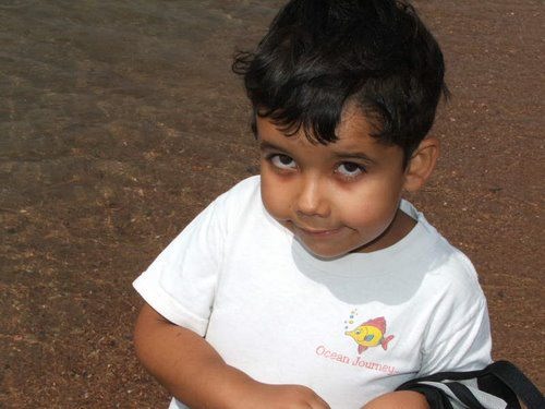 Glass boat trip 2_26