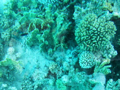 Glass boat trip 2_33