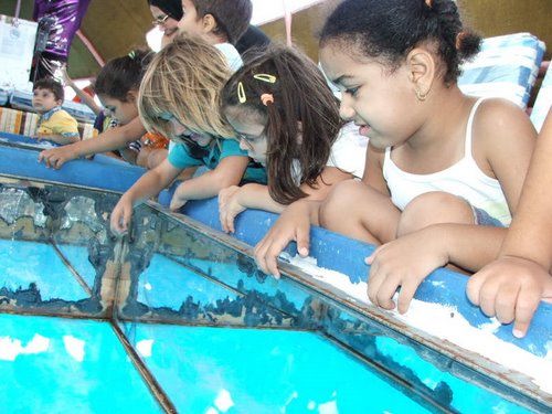 Glass boat trip 2_41