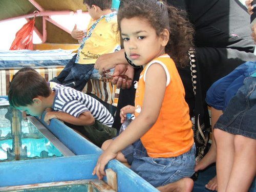 Glass boat trip 2_42