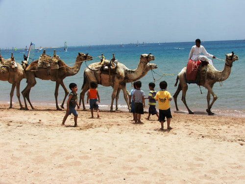 Glass boat trip 2_46