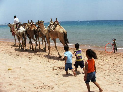 Glass boat trip 2_47