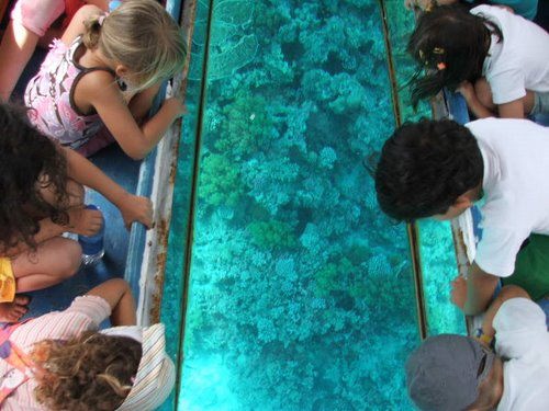 Glass boat trip 2_53